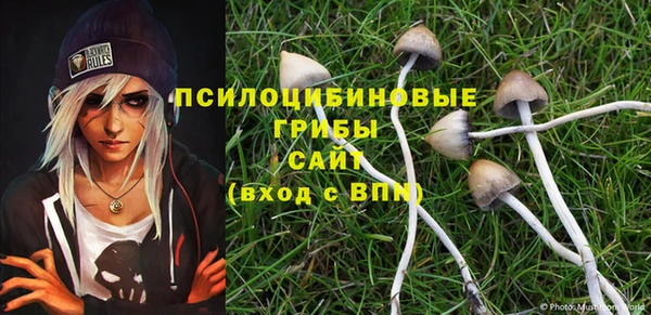 соль курить ск Алзамай