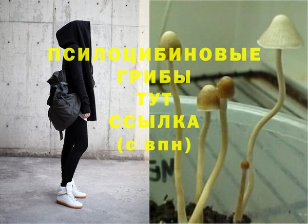гашишное масло Алексеевка