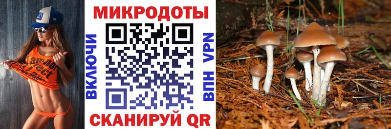 Галлюциногенные грибы GOLDEN TEACHER  Артёмовск 